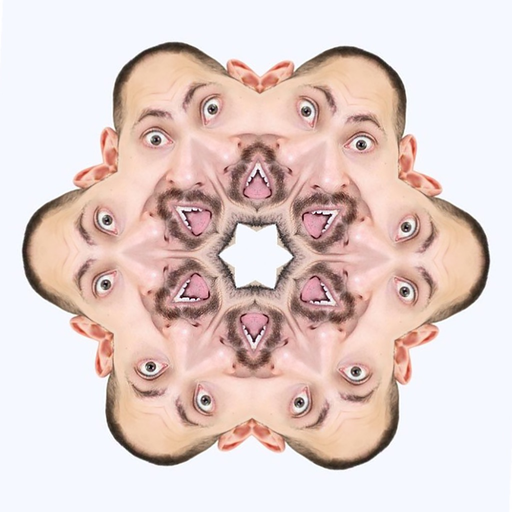 Flake Face app icon
