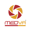 Medva icon