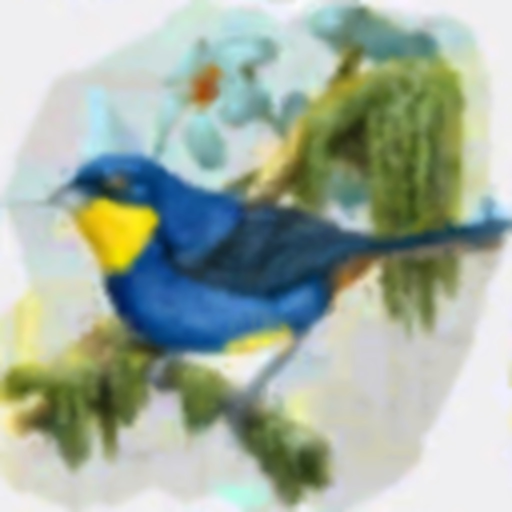 Tesoros alados app icon