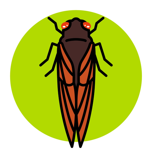 Cicada Safari app icon