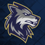 Little Elm Lobos Athletics icon