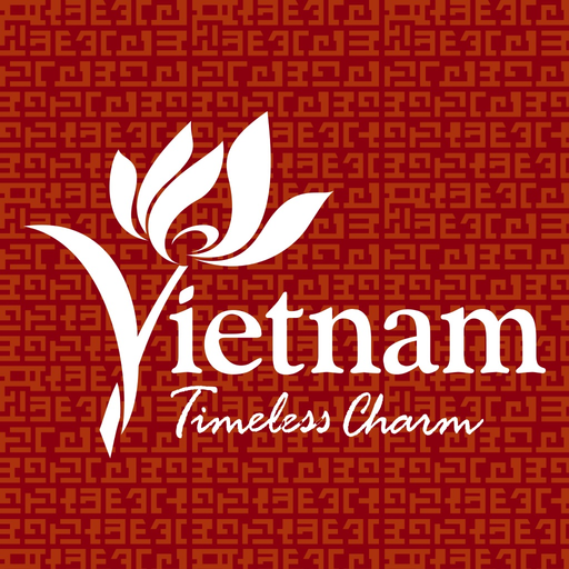 VietNamGo app icon