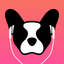 LillyPlayer - IPTV Player icon