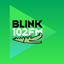 BLINK 102 icon