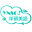 YNSO icon