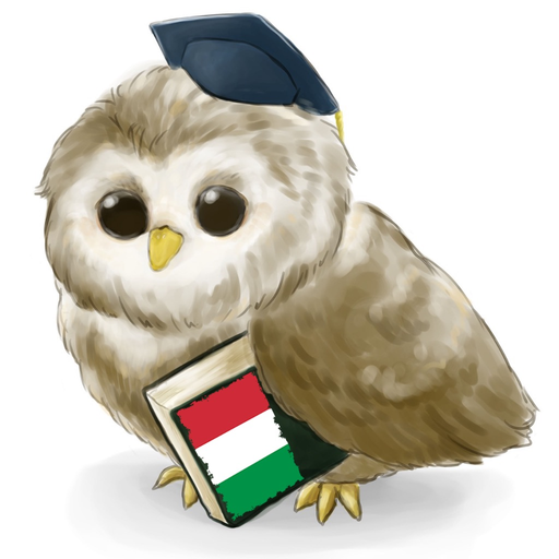 MTL Learn Italian app icon