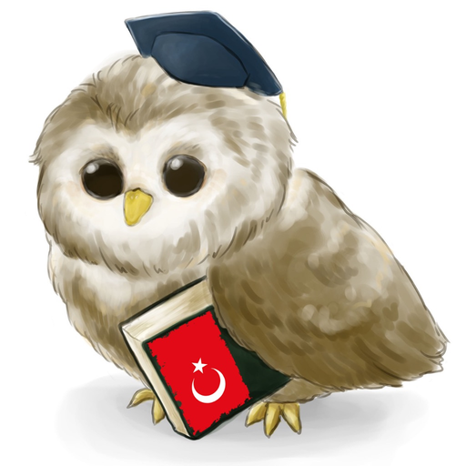 MTL Learn Turkish app icon