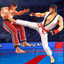 Karate Kings Fight 26 icon