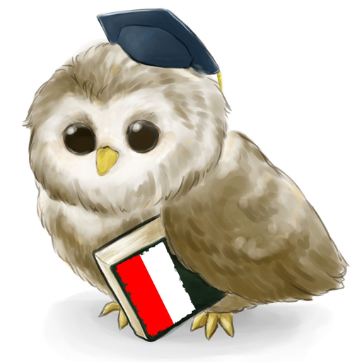MTL Learn Indonesian app icon