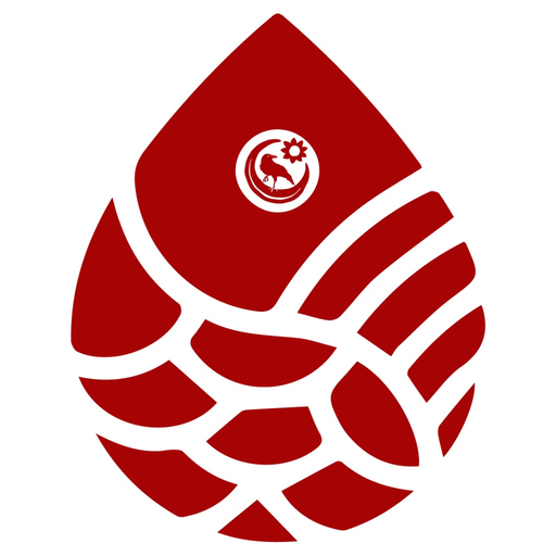 Diolosa Linie app icon