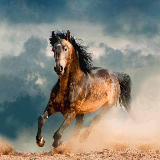 Horse Wallpapers & Backgrounds app icon