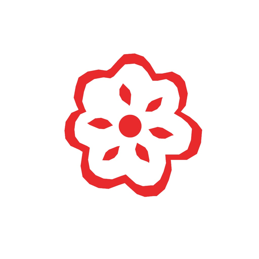 Pałuki app icon
