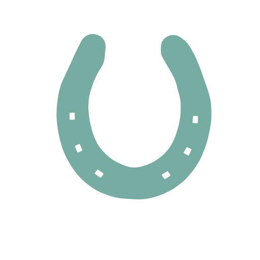 Brulka - запись клиентов app icon
