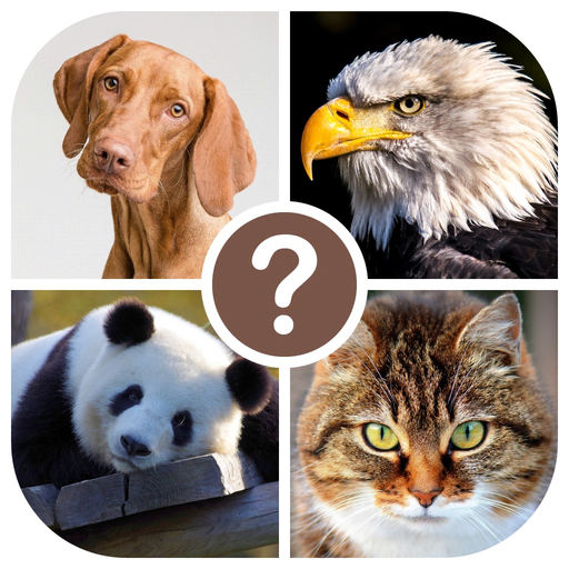 Animals quiz: guess the animal app icon