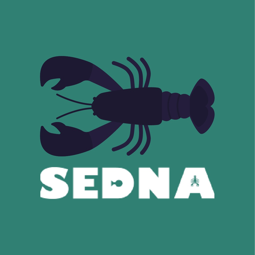 Sedna Dashboard app icon