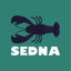 Sedna Dashboard icon