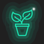 My Adeniums - Adenium care icon