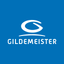 GPS Gildemeister icon