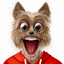 My Talking Animal & Pet App icon