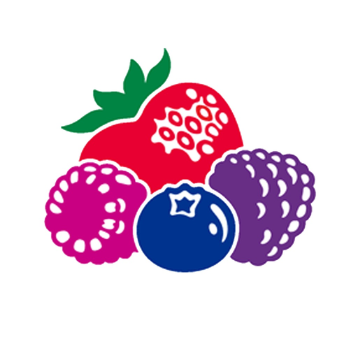Berry Calculator app icon