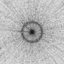 Stellr icon