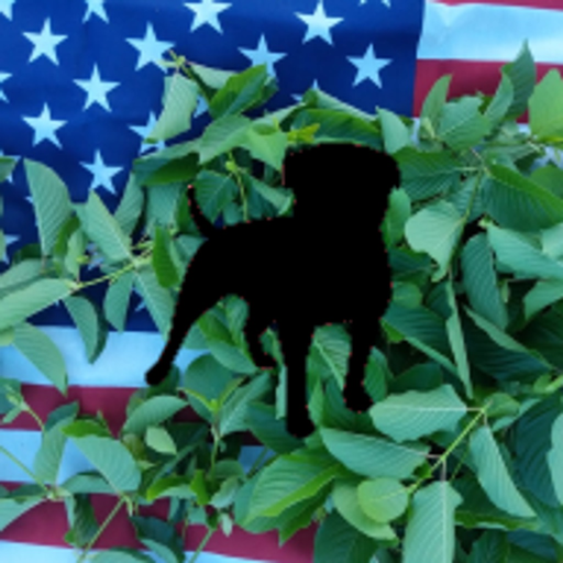 KRATOM WATCHDOG app icon
