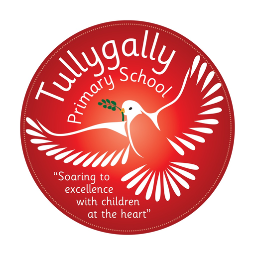 Tullygally PS app icon