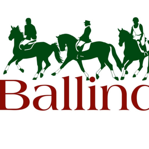 Ballindenisk app icon