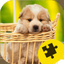 Cute Dogs Puppy Jigsaw Puzzle icon