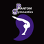 Phantom Gymnastics icon