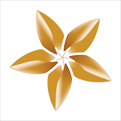 BAC A BANK Corporate Banking app icon