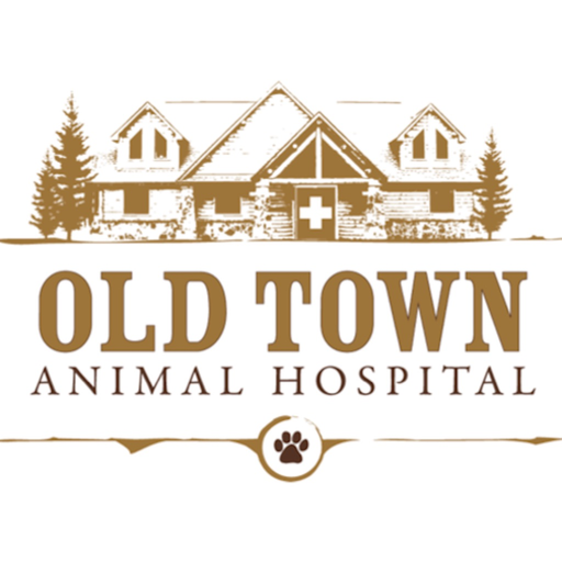 Old Town AH app icon