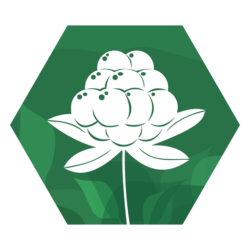 Spiselige vekster i naturen app icon