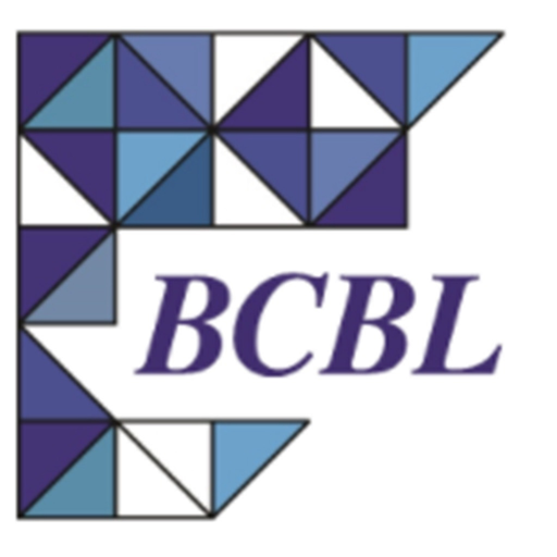 BCBL - בן חיים בר לב רו"ח app icon