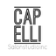 Capelli Salon Studio icon
