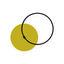 Watch Case icon
