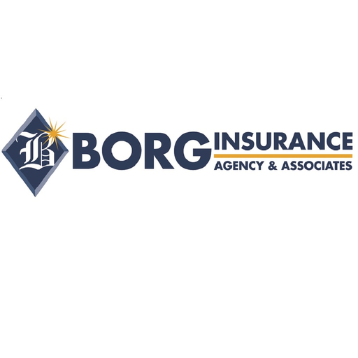 Borg Insurance Agency Online app icon