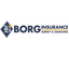 Borg Insurance Agency Online icon