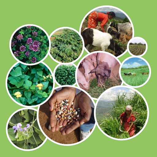 Tropical Forages app icon