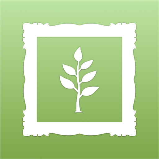 Memories Book Family History app icon