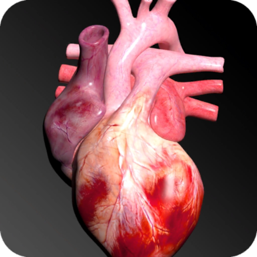 Circulatory System 3D Anatomy app icon