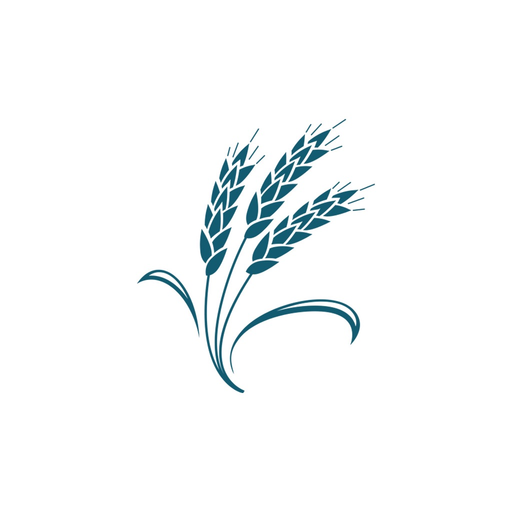 Denton Bible Church app icon