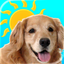 Sundoggy icon