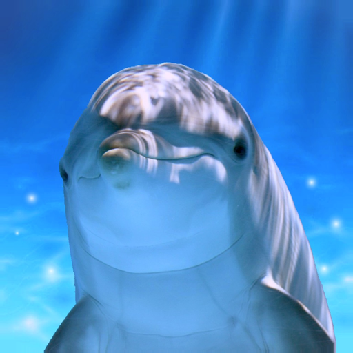 Tap Dolphin -simulation game- app icon
