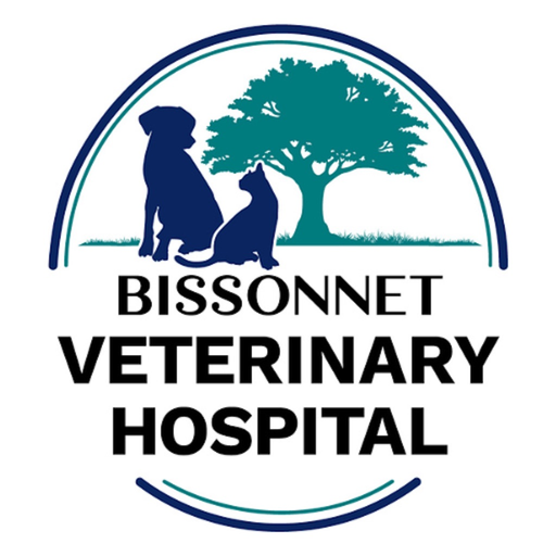 BissVet app icon