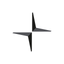 Polestar icon