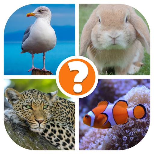 Animals Quiz - Word Pics Game app icon