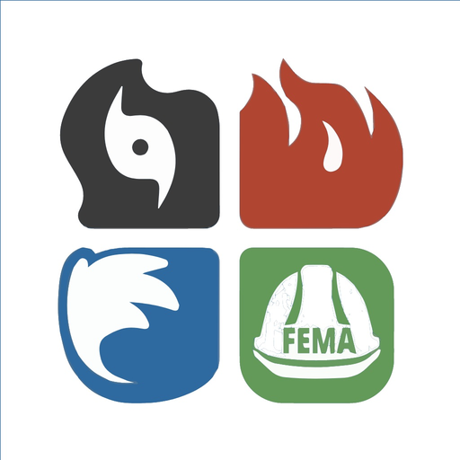 DTSResponder app icon