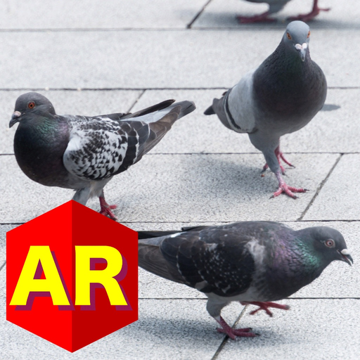 Anywhere Pigeon AR app icon