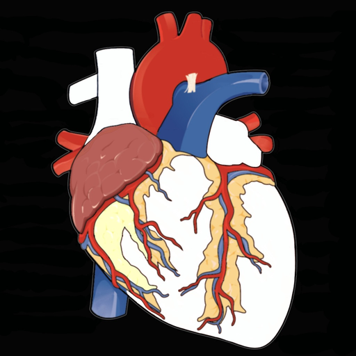 Anatomy Puzzles app icon